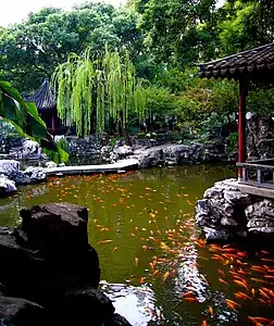 Koi in the Yuyuan Garden in Shanghai