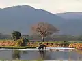 Zambezi River near Mutsango Lodge, Mana Pools National Park