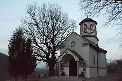 Sacred Оак Tree in Davidovac, municipality of Paraćin, Serbia