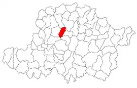 Location in Arad County