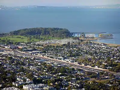 Coyote Point is covered in eucalyptus trees