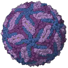 "Zika virus" capsid model, colored by chains, PDB entry 5ire