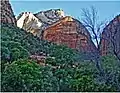 Castle Dome from Zion Lodge