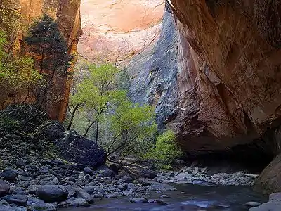 Virgin River Narrows, Zion National Park