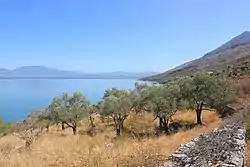 Coast of Lake Scutari in Zogaj