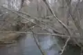 Manalapan Brook flowing near Gasko's Family Farm in Monroe Township