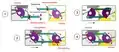 Coupling process of a Scharfenberg coupler (Labels in German)