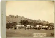 Train of freight wagons at Little Bighorn c. 1887