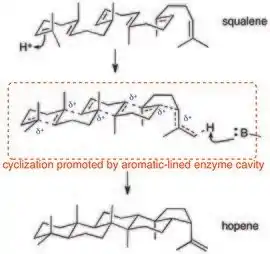 Cyclization of squalene to form hopene