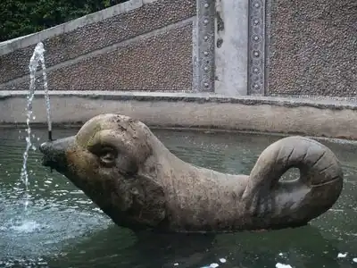 A dolphin in the fountain of the dragons