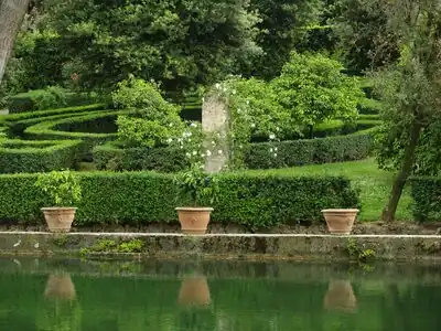 Border of the fish ponds