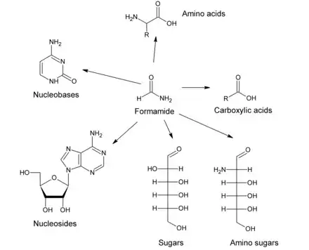 Figure 2.  Main prebiotic building blocks that can be synthesized from formamide under plausible prebiotic conditions.