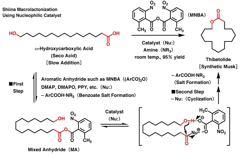 Shiina Macrolactonization using nucleophilic catalyst