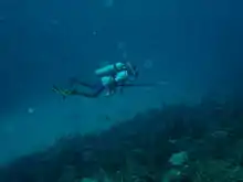 Photo of Abram on the submarine island at 38 m depth