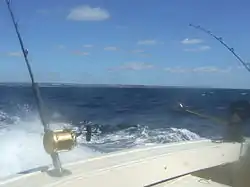 A calm March day off Grantley Adams Airport for charter boat rod fishing.