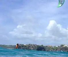 He came round to look at the divers as they swam towards the beach.