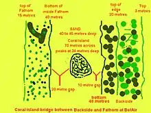 Diagram of intervening submarine coral islands