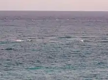 Photo of rarely seen lines of turbulence over inner and outer reefs.