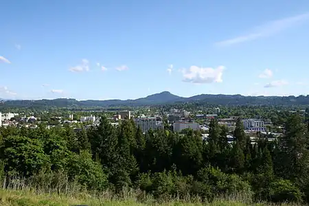 Photo of a small city skyline on a clear day with trees in the foregrond