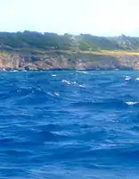 Two of the guns and the red flag can be discerned in this grainy long shot from the Fathom. Note the right angled triangle in the cliff below and to the left as a marker.