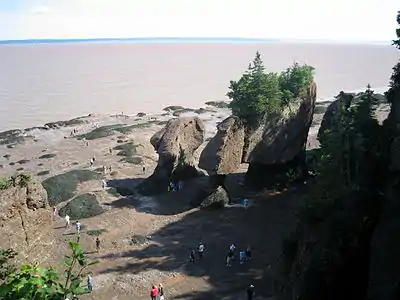 Hopewell Rocks at low tide