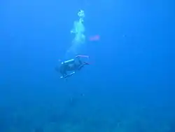 Korey adds a Barracuda to his catch.