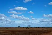 Long horizons in Tsavo East