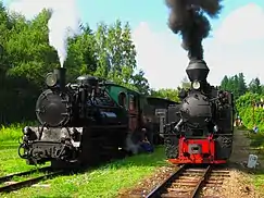 Steam trains