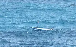 No-one in Carline's dive boat. He's collecting conch.