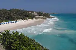 No Sargassum Weed on Crane Beach on November 25th 2015.