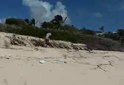 Part of Crane Boom chain goes Walkabout on Crane Beach North