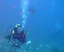 Not all divers on Cobblers Reef are fishermen.