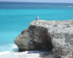 Rock fishing in July inside the calm reef.