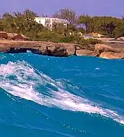 Sam Lords Castle seen by a diver above Cobblers Reef.