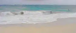 Is this a sea monster stalking these surfers inside Cobblers Reef? Note the eyes, snout and pointed tail. But a very large log could be just as dangerous.