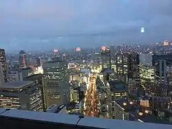 View from New York Bar at Park Hyatt Tokyo