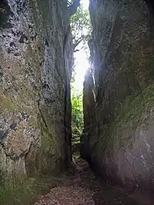 Via Cava in the Necropoli of Sovana